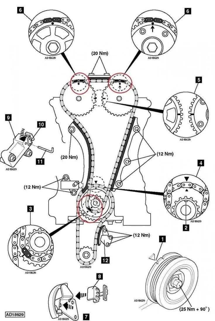 2002 honda accord timing belt diagram