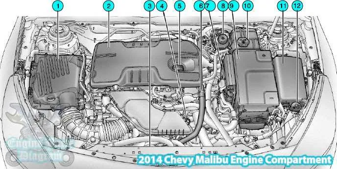2014 chevy malibu belt diagram
