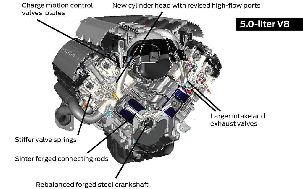 5.0 coyote belt diagram