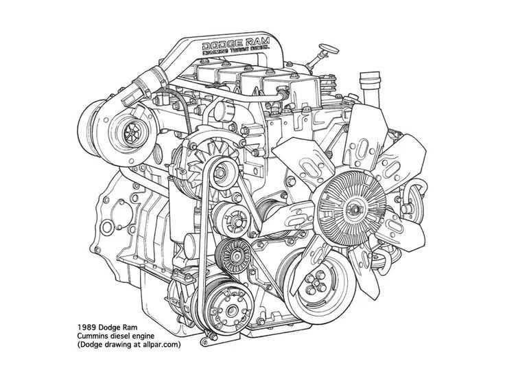 belt diagram for 5.9 cummins