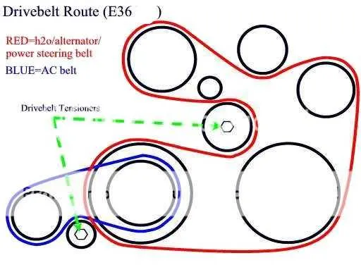 06 bmw 325i belt diagram 06 bmw 325i belt diagram