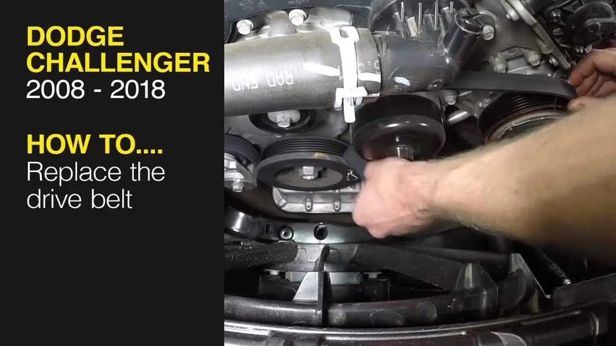 dodge charger belt diagram