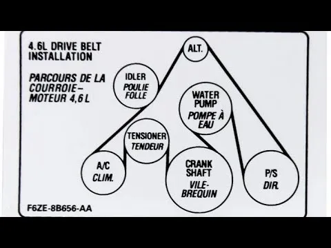 4.6 belt diagram 4.6 belt diagram