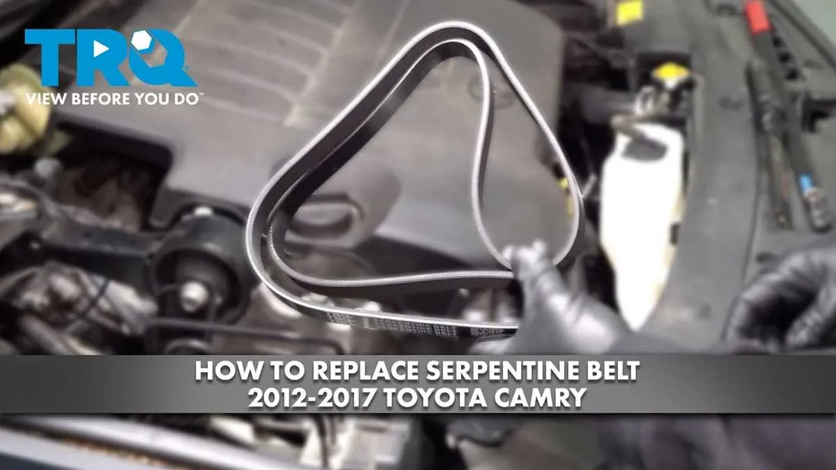 Toyota Serpentine Belt Replacement Costnull