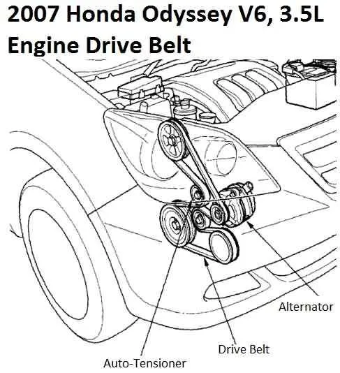 serpentine belt diagram for 2007 honda odyssey